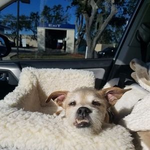 Meet your Posher, Joanne